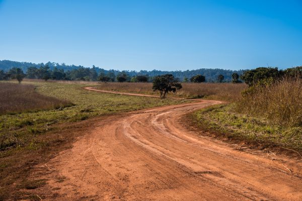 Cost of Dirt Driveway Repair in Niceville