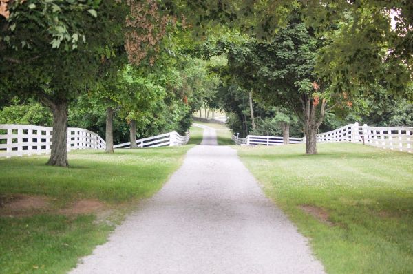 Cost of Gravel Road Installation in Niceville