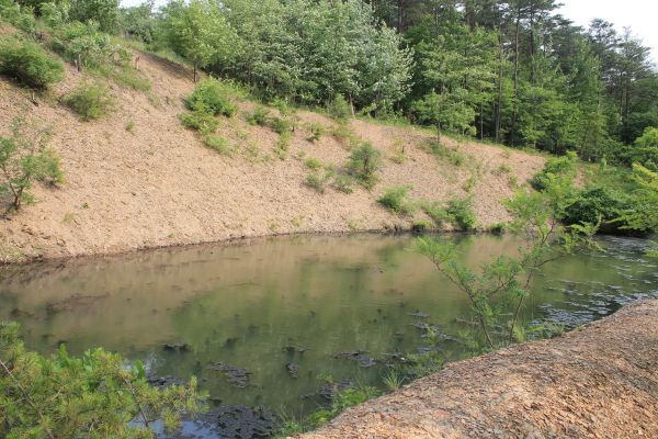 Cost of Pond Erosion Repair in Niceville